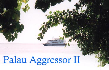 Palau Aggressor II - home for the week