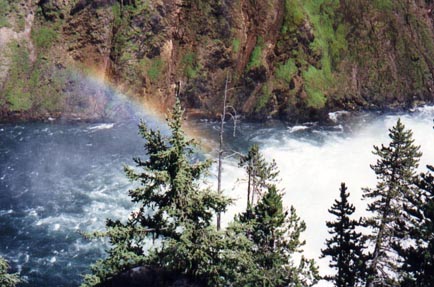 Lower Falls - Yellowstone Park